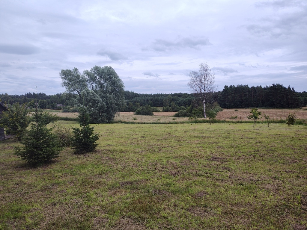 Działka Sprzedaż Bornice 9