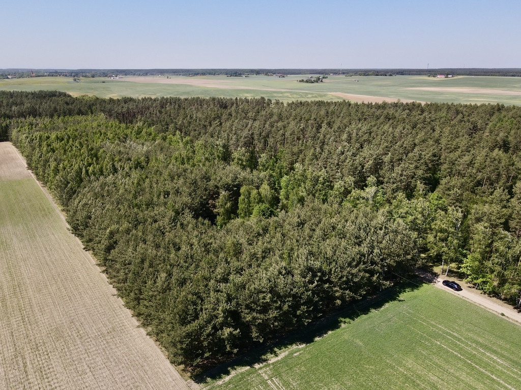 Działka Sprzedaż Radomno