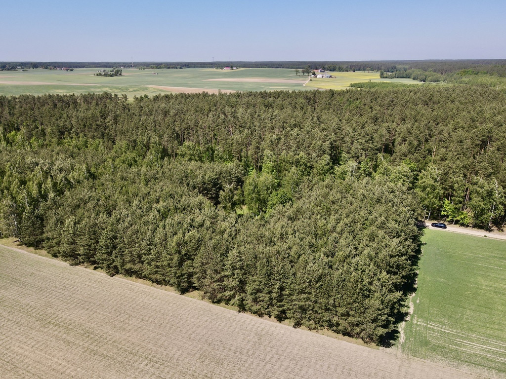 Działka Sprzedaż Radomno