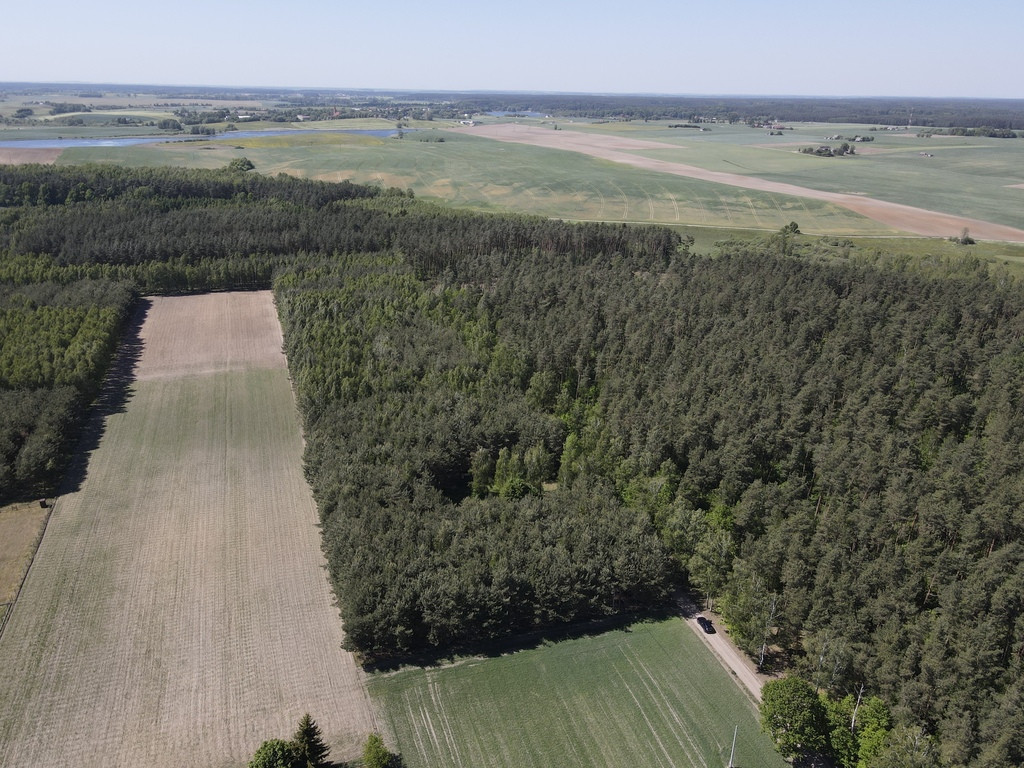 Działka Sprzedaż Radomno 11