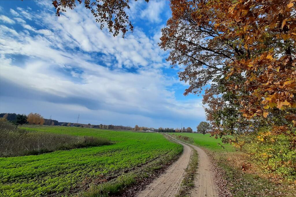 Działka Sprzedaż Szeplerzyzna 6