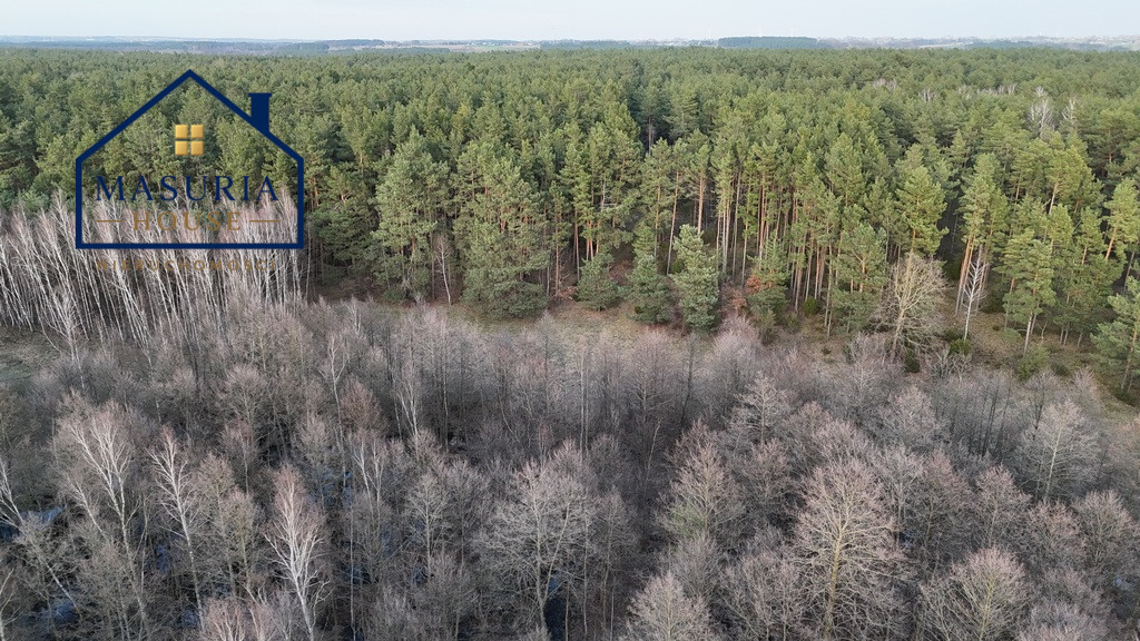 Działka Sprzedaż Łapinóż