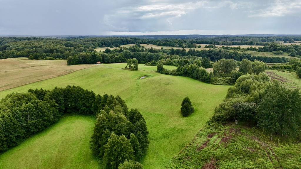 Działka Sprzedaż Włodowo 4