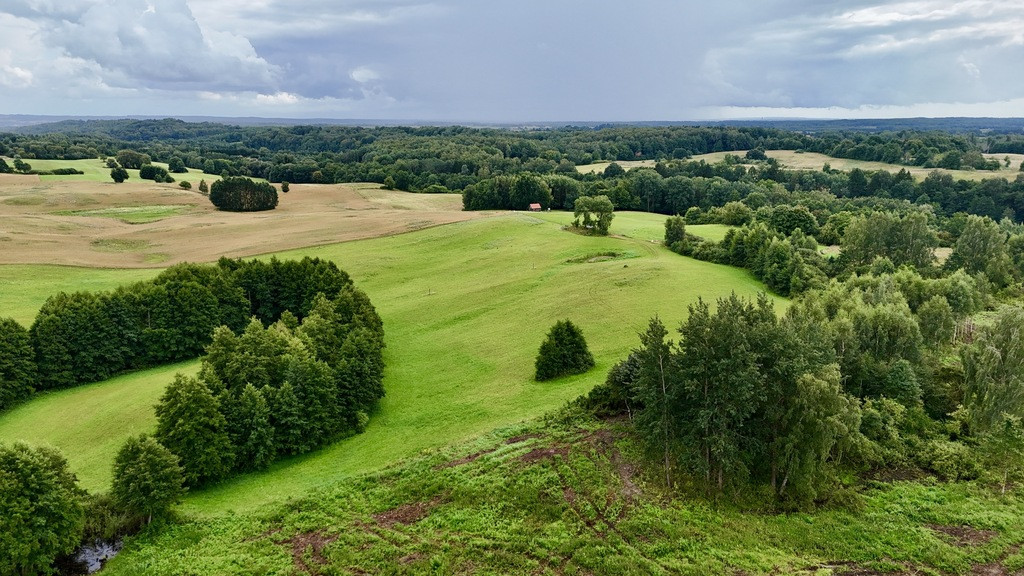 Działka Sprzedaż Włodowo 5