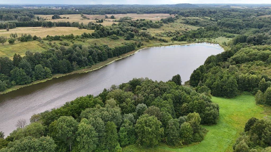 Działka Sprzedaż Włodowo 13