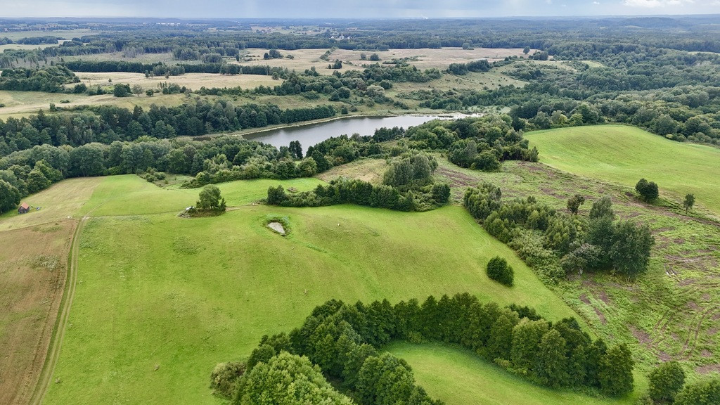 Działka Sprzedaż Włodowo 18