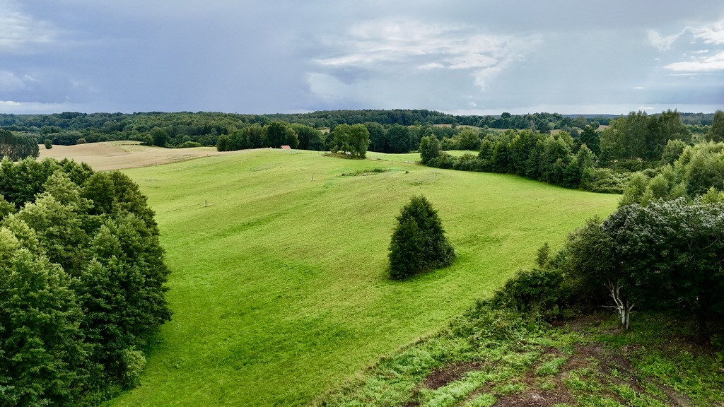 Działka Sprzedaż Włodowo 19