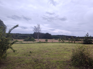 Działka Sprzedaż Bornice
