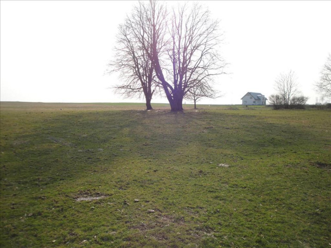 Działka Sprzedaż Rudzienice 3