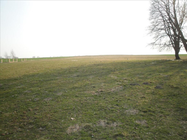 Działka Sprzedaż Rudzienice 6