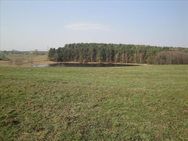 Działka Sprzedaż Rudzienice 7