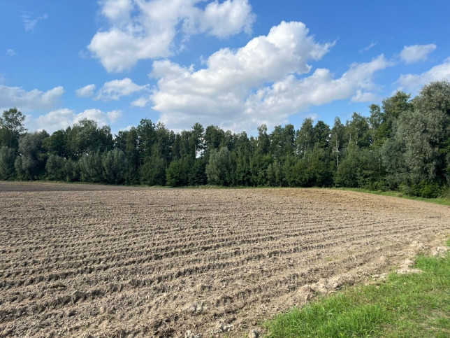 Działka Sprzedaż Małe Leźno 6