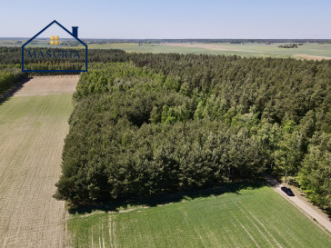Działka Sprzedaż Radomno