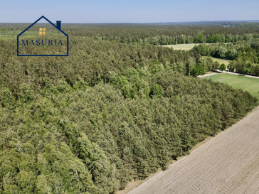 Działka Sprzedaż Radomno