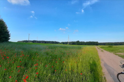 Działka Sprzedaż Szeplerzyzna