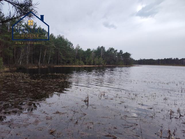 Działka Sprzedaż Wąpiersk 4