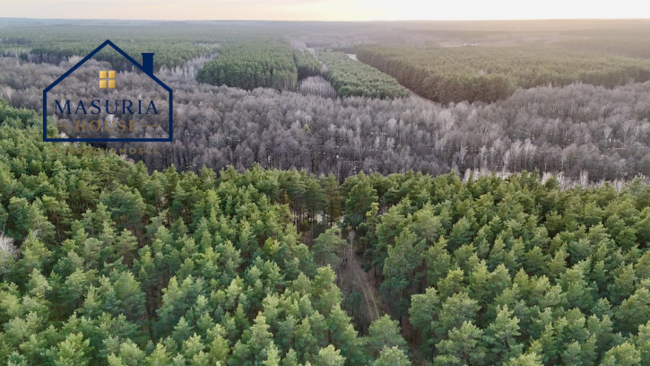 Działka Sprzedaż Łapinóż 2
