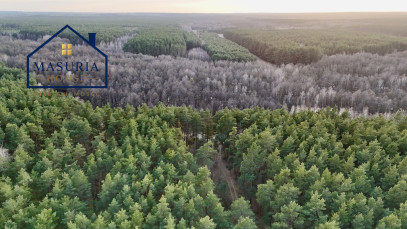 Działka Sprzedaż Łapinóż