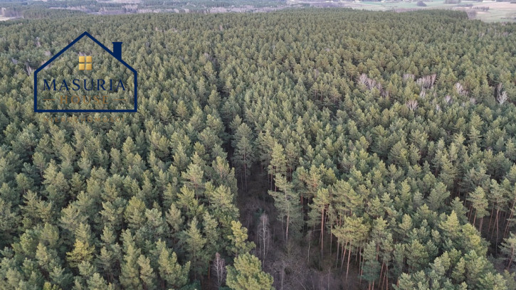 Działka Sprzedaż Łapinóż 4