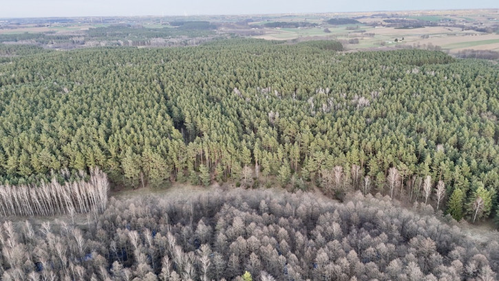 Działka Sprzedaż Łapinóż 7
