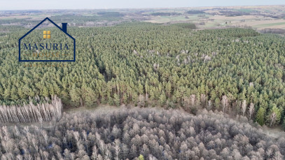 Działka Sprzedaż Łapinóż