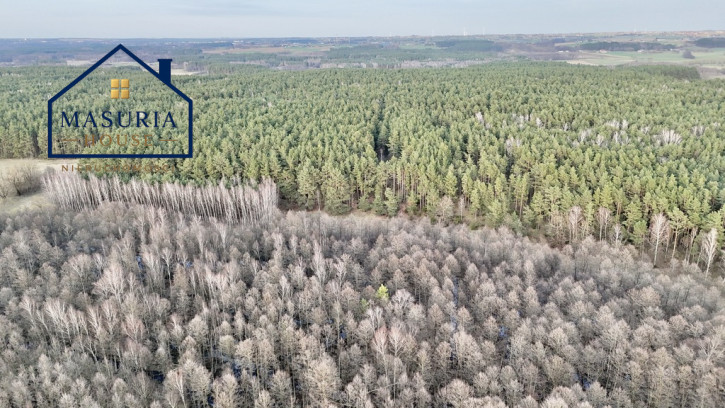 Działka Sprzedaż Łapinóż 10