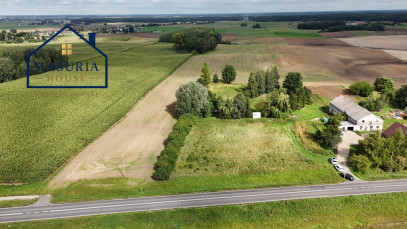 Działka Sprzedaż Laseczno