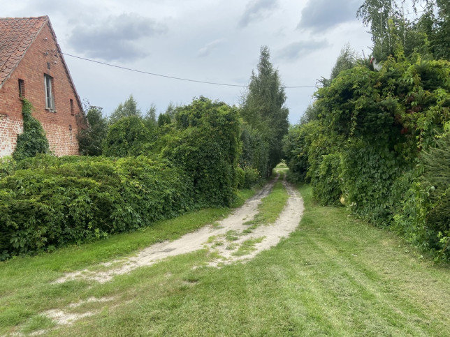 Dom Sprzedaż Stary Dzierzgoń 7